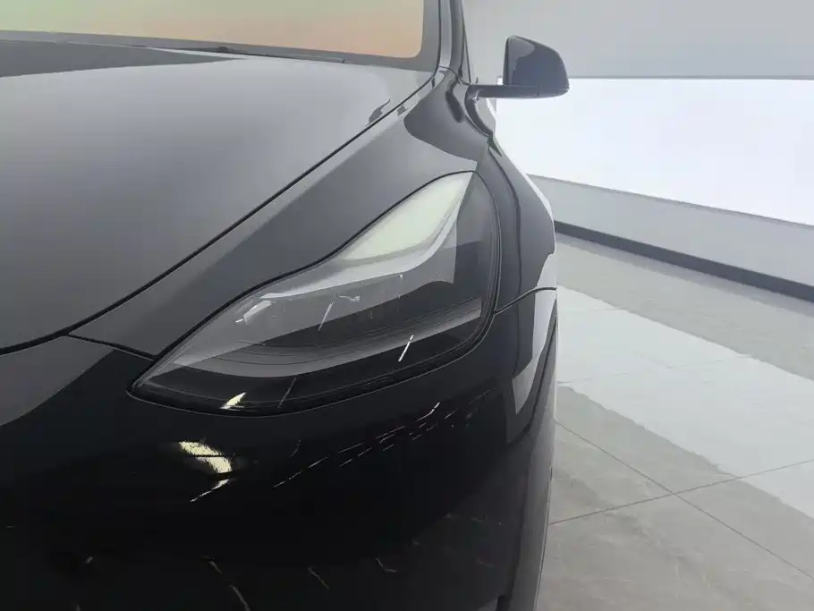Tesla Model Y — миниатюра 5