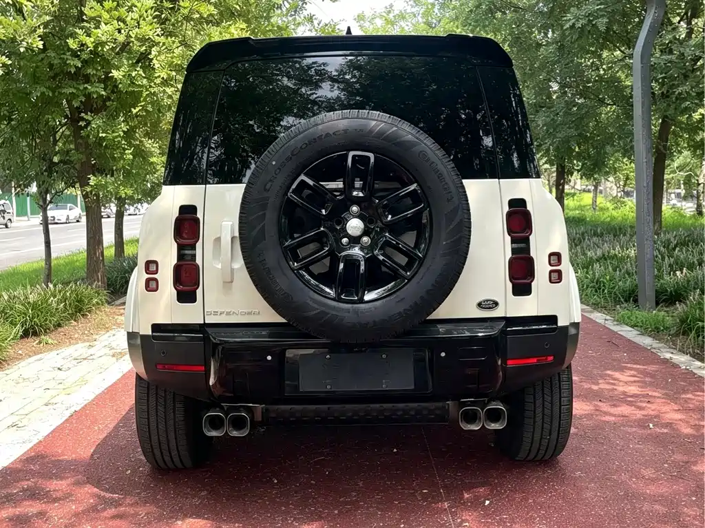 Land Rover Defender 90 2.0T P300 S, фото 3