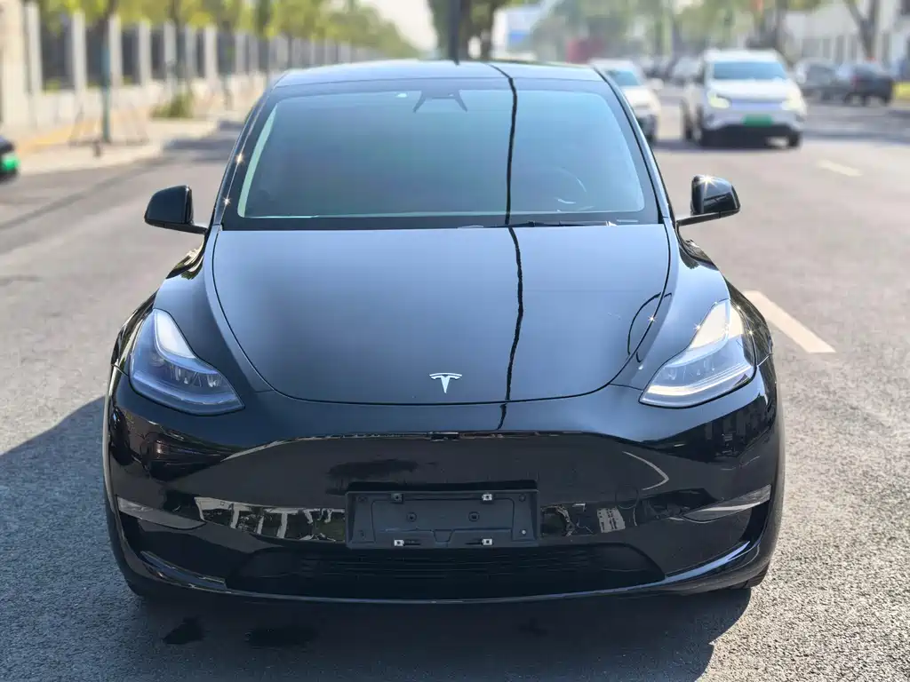 Tesla Model Y — миниатюра 2