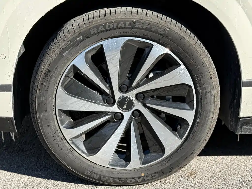 BYD SEA LION 06 NEW ENERGY