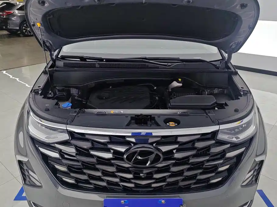Hyundai Custo — миниатюра 10
