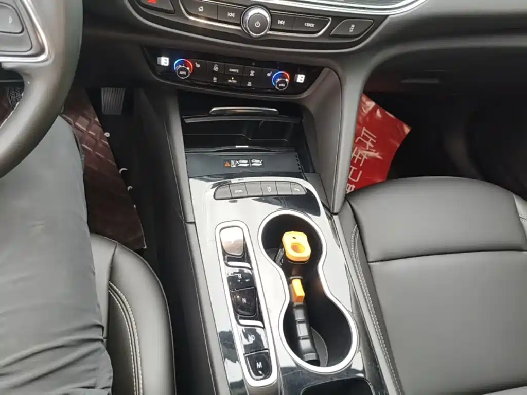 Buick Regal — миниатюра 14