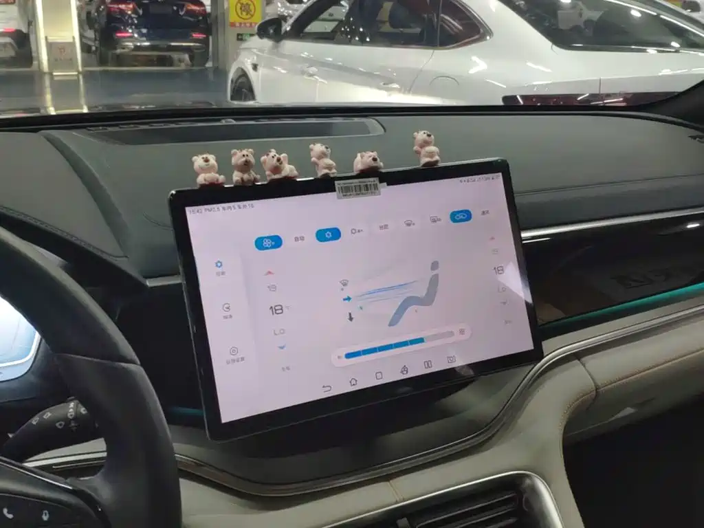 BYD PLUS New Energy — миниатюра 13