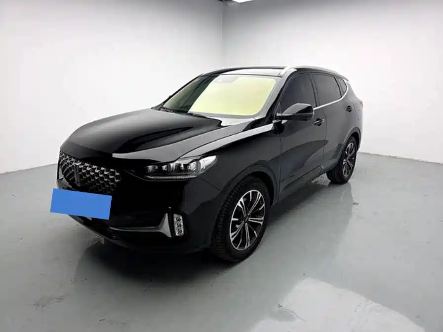 Wey Wey VV6