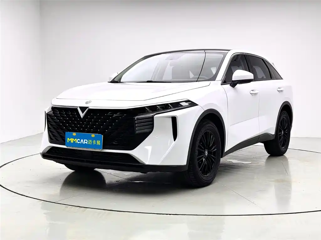 Venucia V 2023