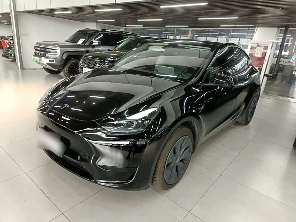 Tesla Model Y — миниатюра 2