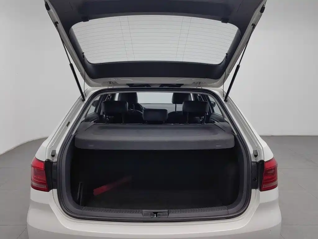 Volkswagen Gran Lavida — миниатюра 16