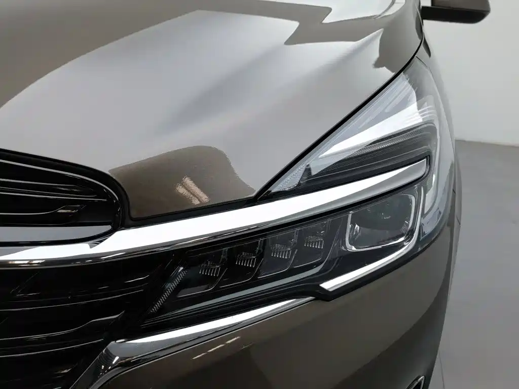 Buick GL8 — миниатюра 7