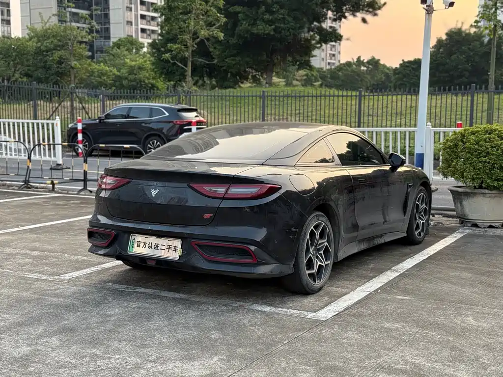 Neta Neta GT — миниатюра 15
