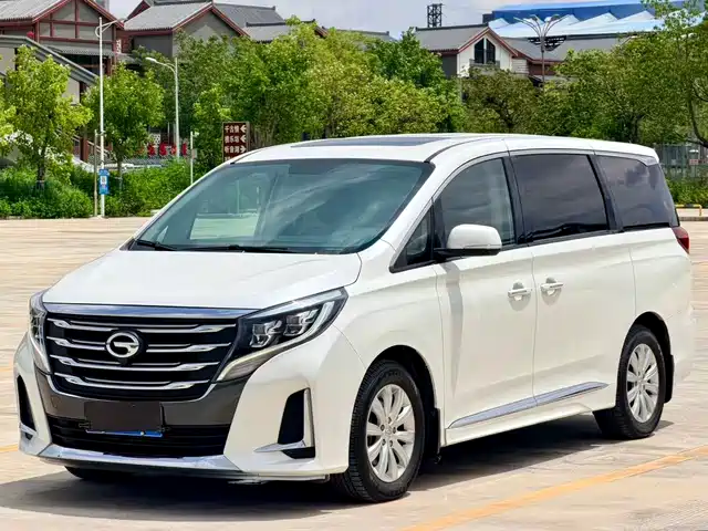 2020 GAC GN8