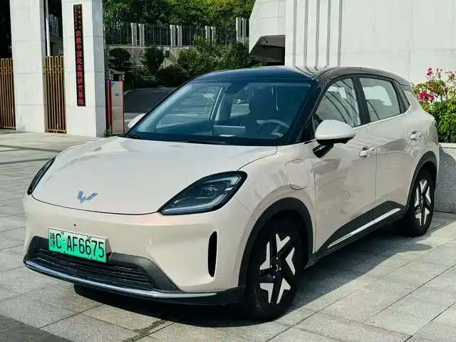 2025 Wuling Motors Binguo