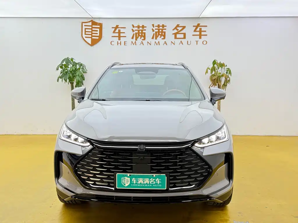 BYD Tang New Energy — миниатюра 2