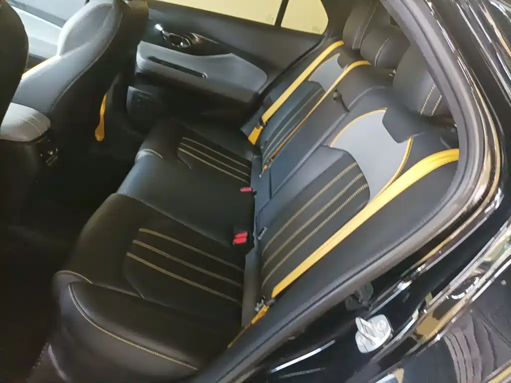 GAC Motor Shadow Leopard — миниатюра 13