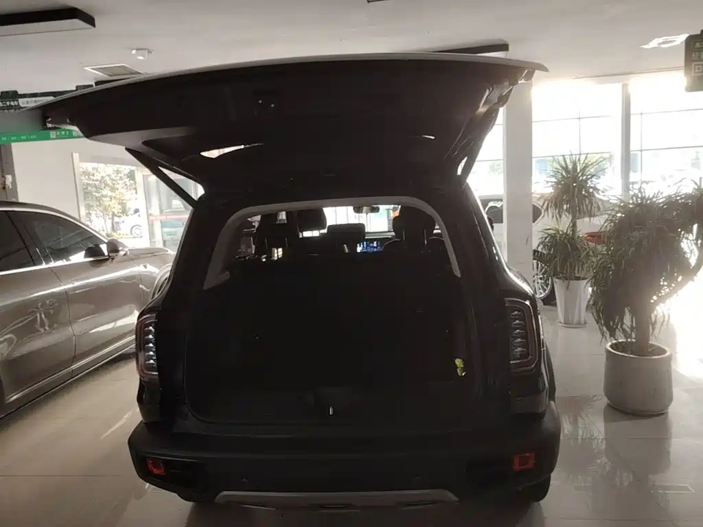 Haval Big Dog — миниатюра 19