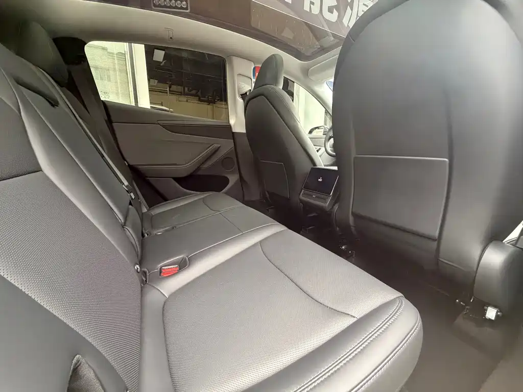 Tesla Model Y — миниатюра 11