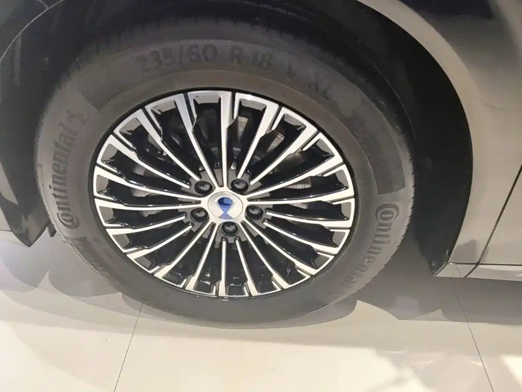 Denza Denza D9 — миниатюра 23