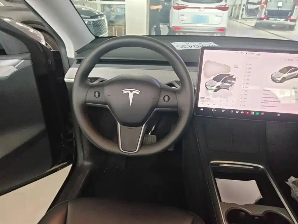Tesla Model Y — миниатюра 11