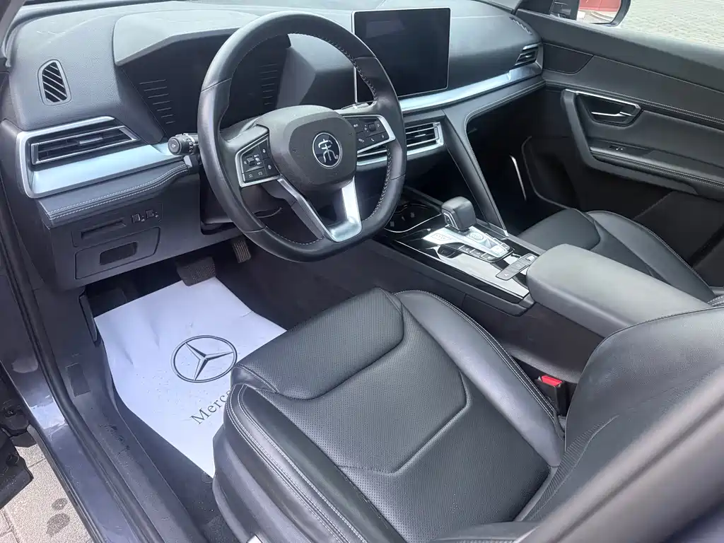 BYD Pro — миниатюра 9