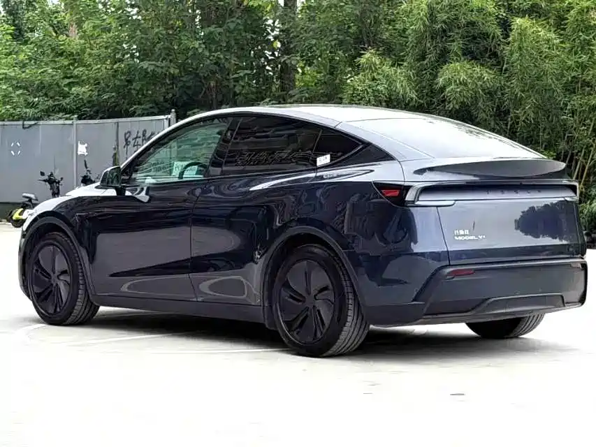 Tesla Model Y — миниатюра 8