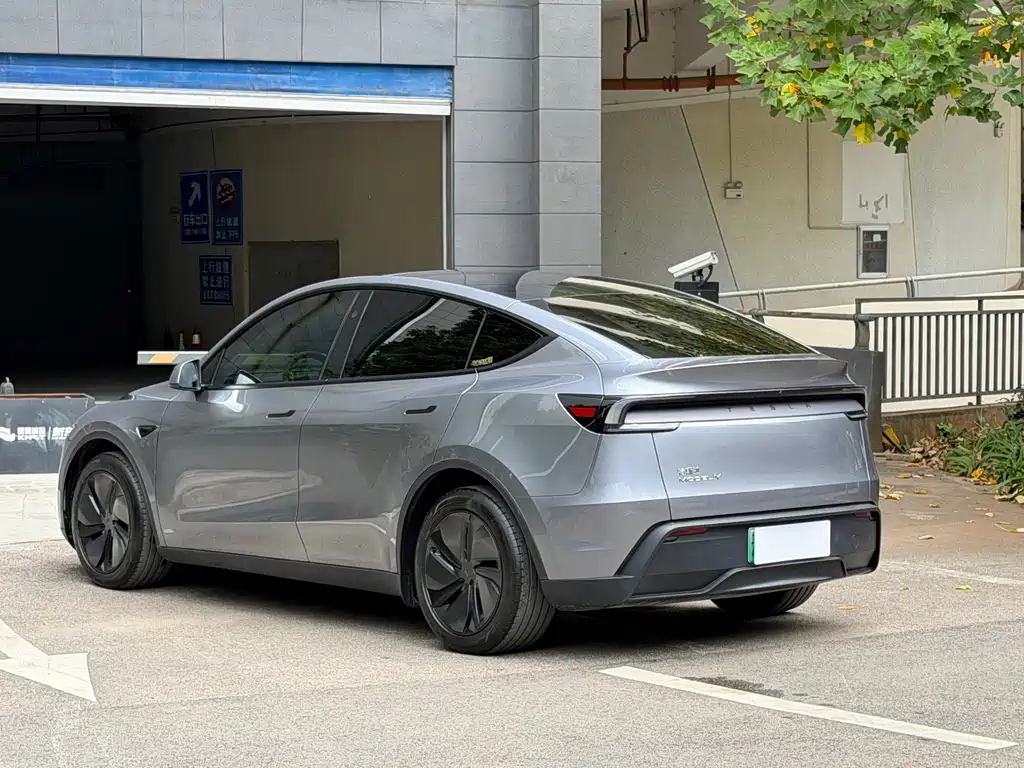 Tesla Model Y — миниатюра 5