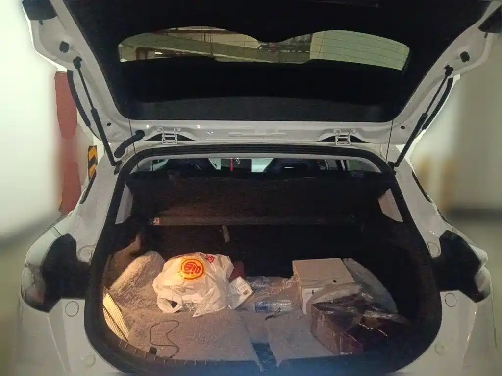 Geely Emgrand S — миниатюра 10