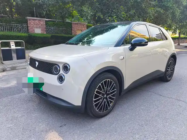 2025 Nio Firefly