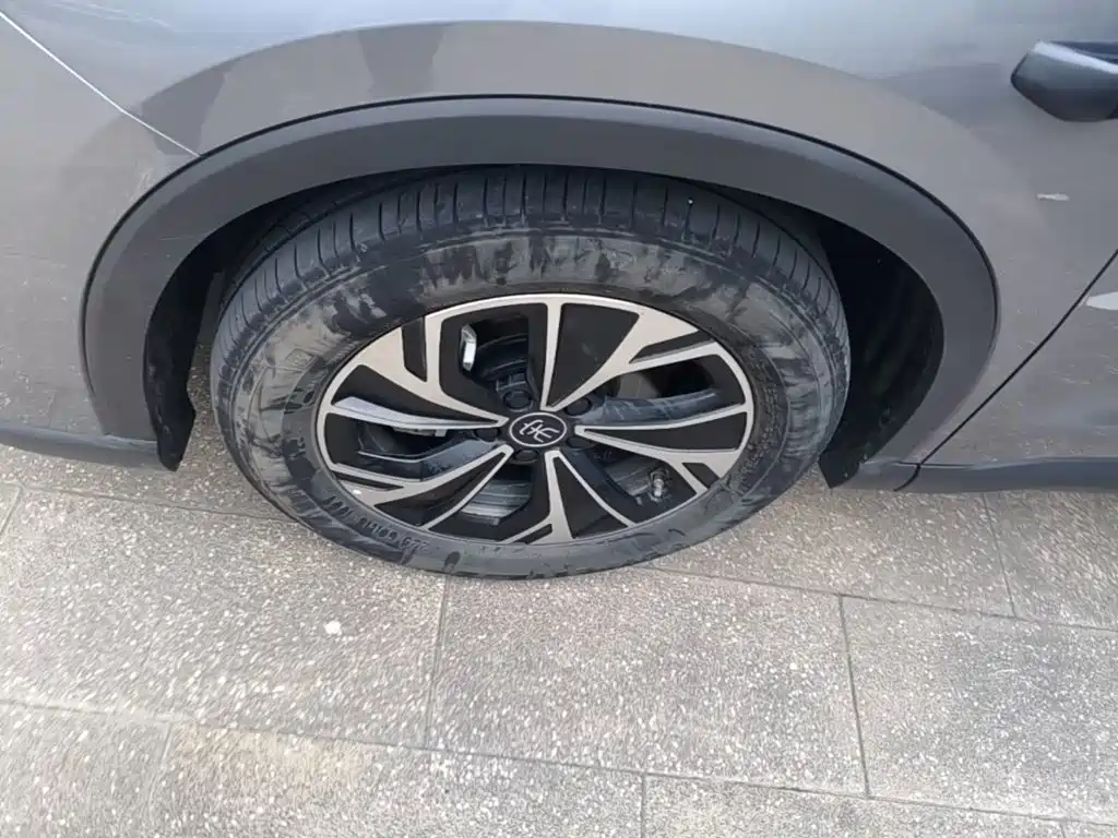 BYD Pro New Energy — миниатюра 23