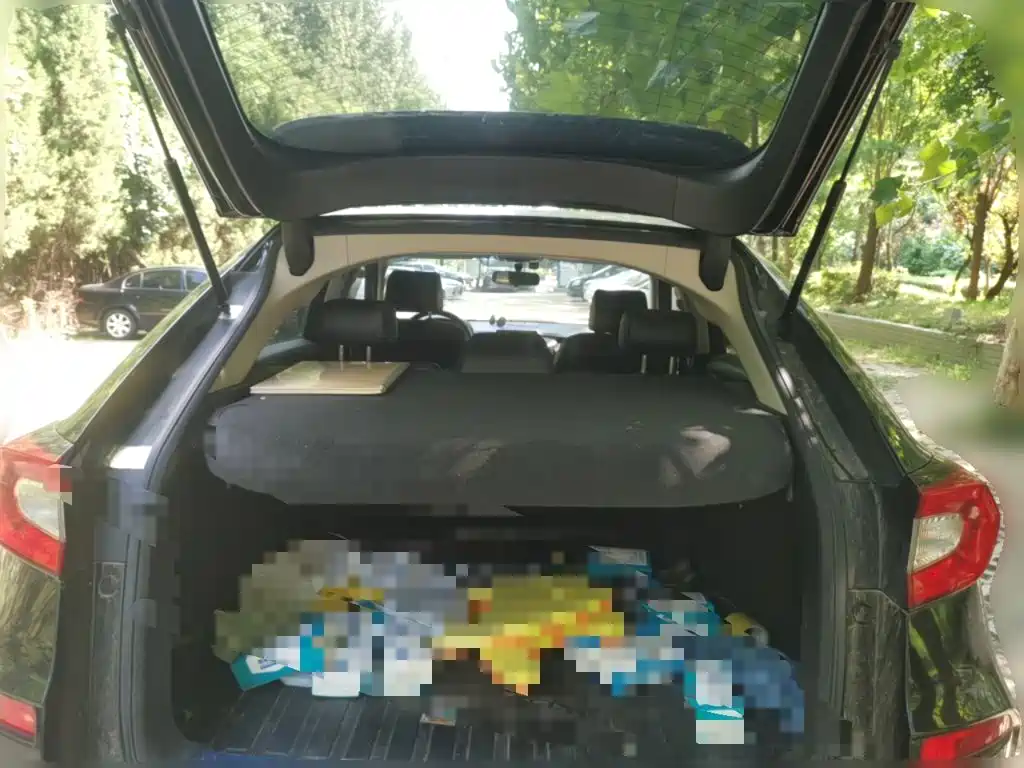 Honda Avancier — миниатюра 10