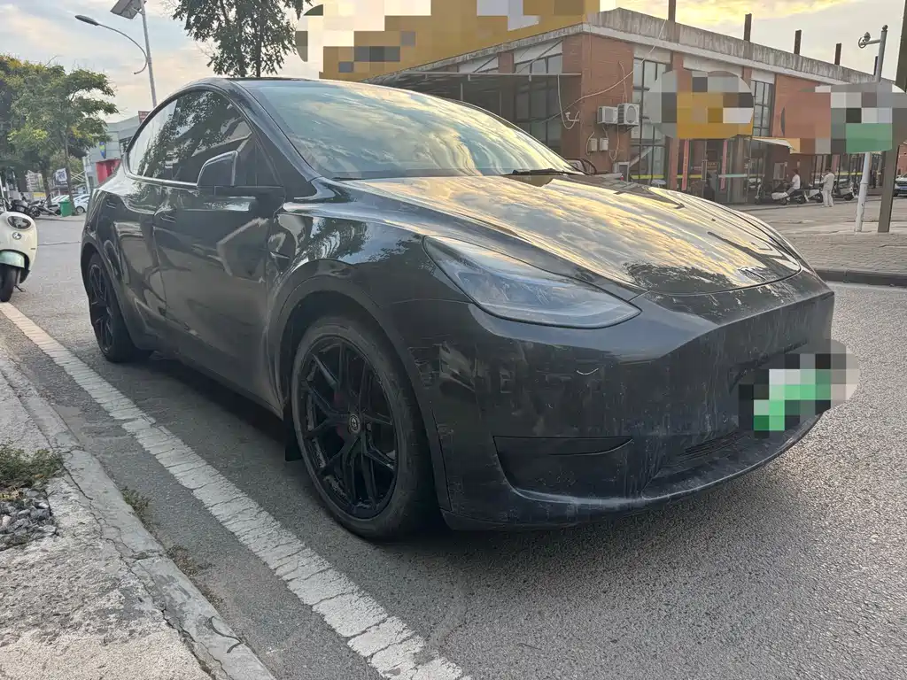 Tesla Model Y — миниатюра 3
