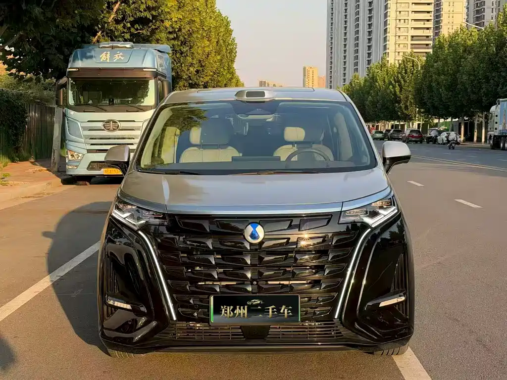 Denza Denza D9 — миниатюра 2