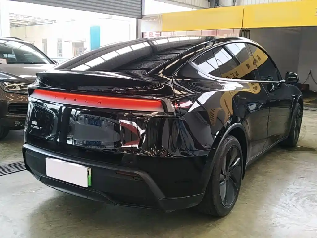 Tesla Model Y — миниатюра 7