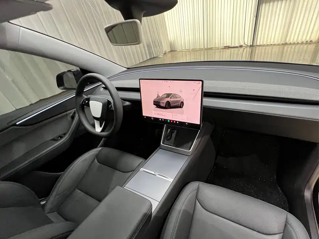 Tesla Model Y — миниатюра 20