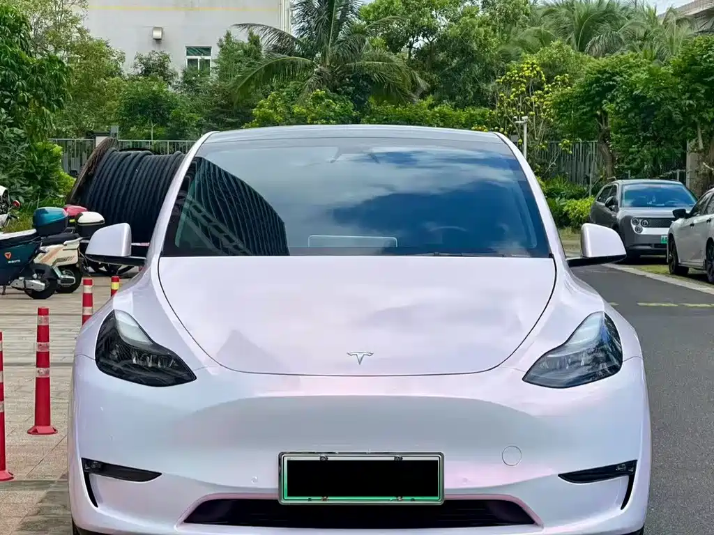 Tesla Model Y — миниатюра 2