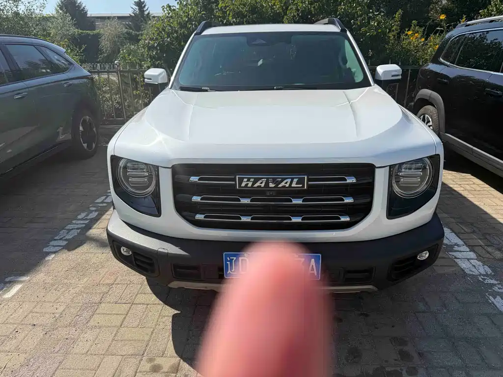 Haval Big Dog — миниатюра 2