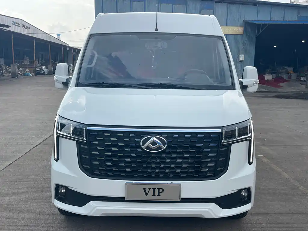 MAXUS V80 — миниатюра 2