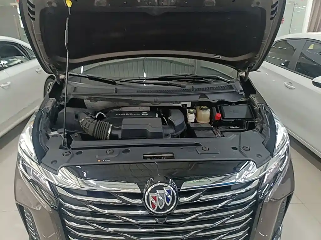 Buick GL8 — миниатюра 20