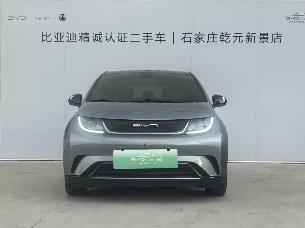 BYD Dolphin 2023 420km Fashion