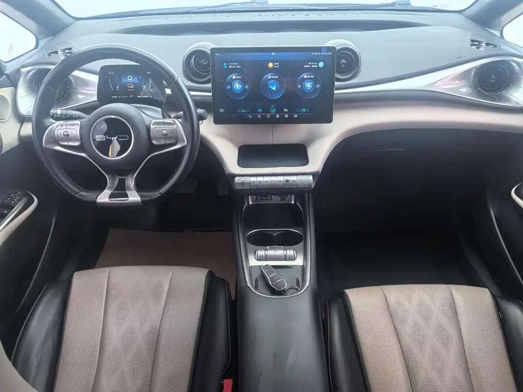 BYD Dolphin 2023 420km Fashion