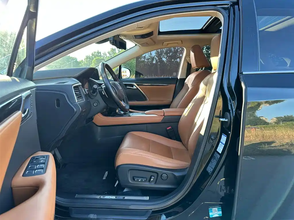 Lexus RX 2020 300 Elegant VI