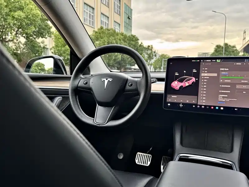 Tesla Model Y — миниатюра 5