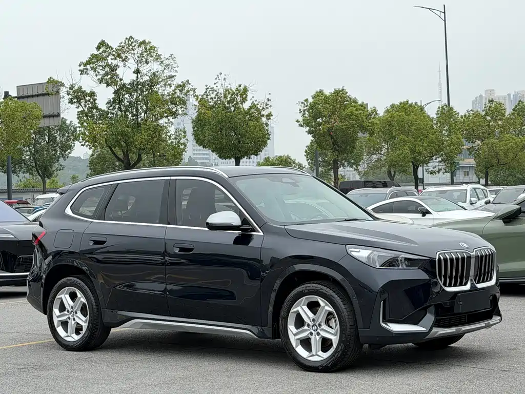 BMW X1 — миниатюра 2