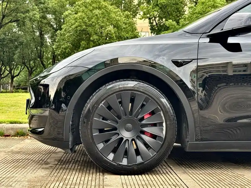 Tesla Model Y — миниатюра 10