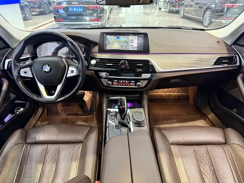 BMW 5 Series 5 2020 530Li Premium Luxury
