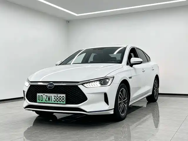 2022 BYD e2