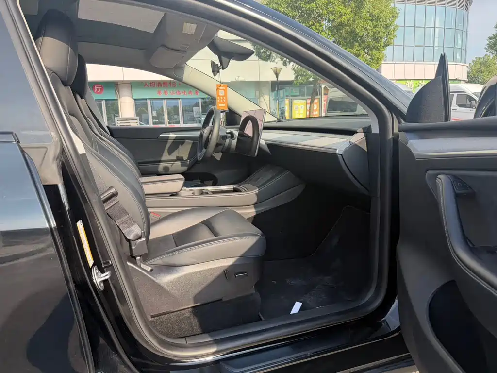Tesla Model Y — миниатюра 10