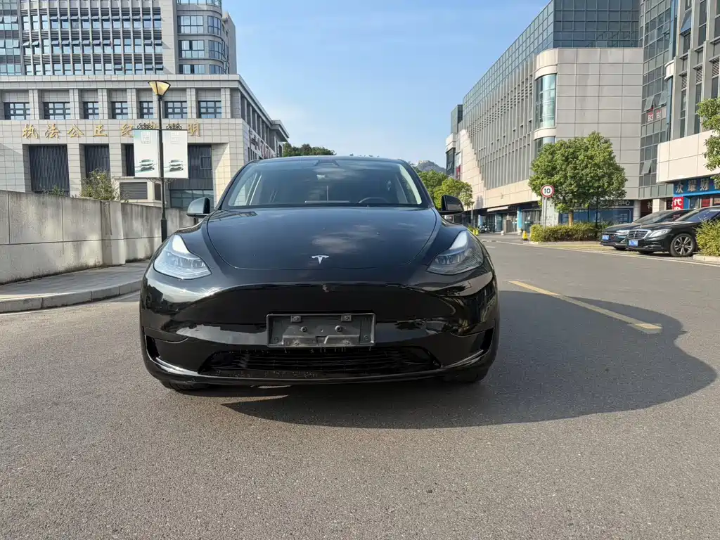Tesla Model Y — миниатюра 2