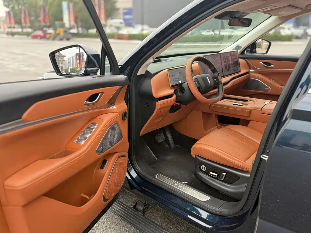 WEI PAI WEI BRAND BLUE MOUNTAIN