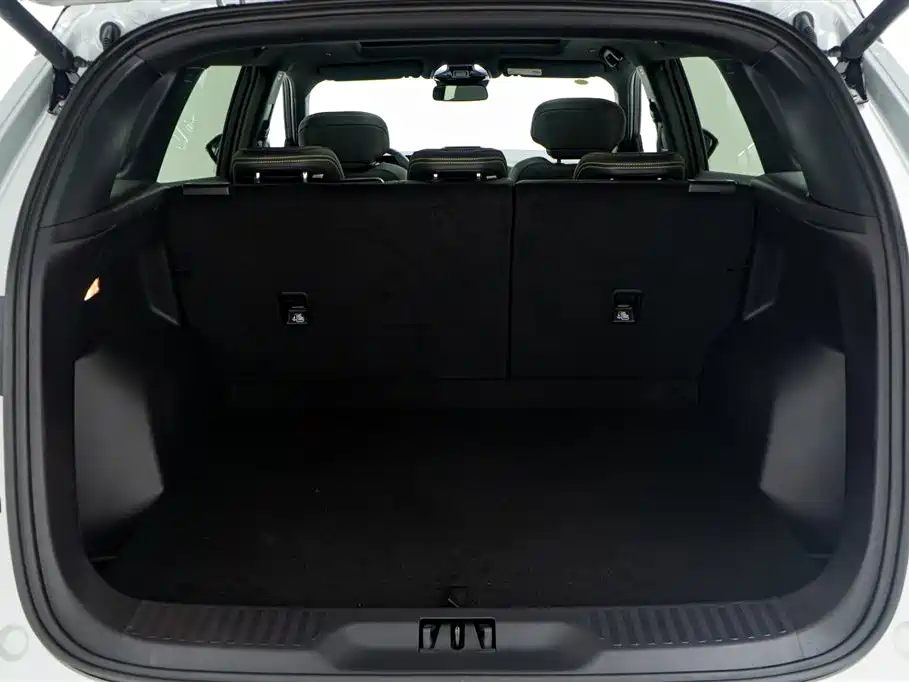 FORD LINGRUI NEW ENERGY