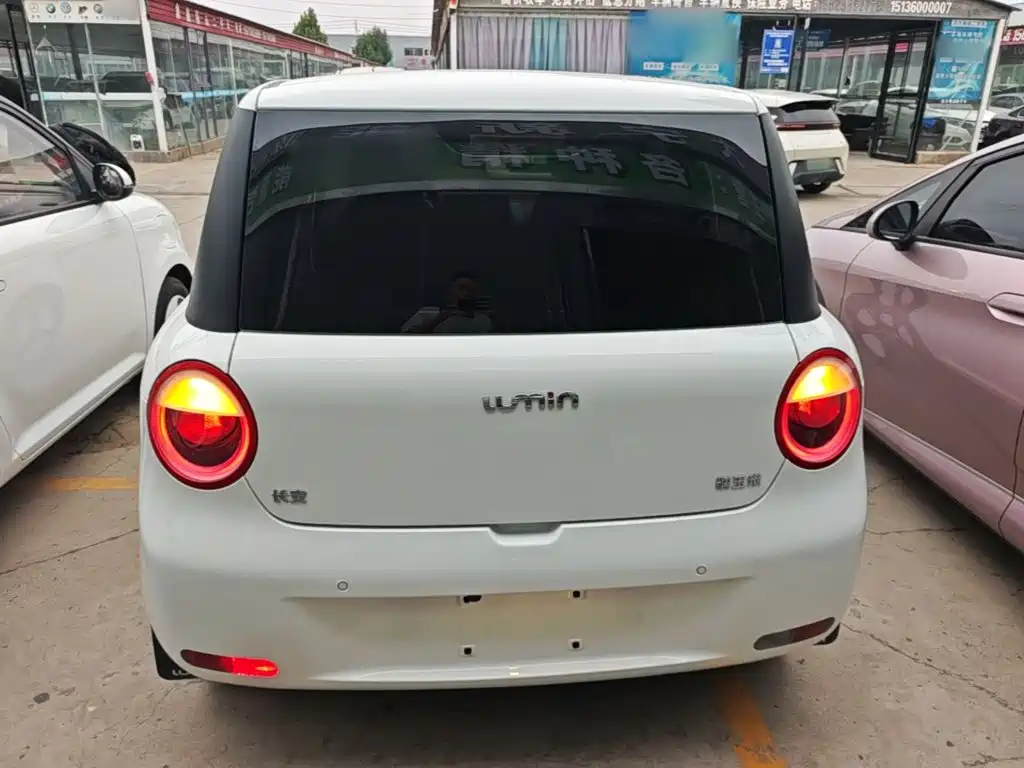 Qiyuan Lumin — миниатюра 6