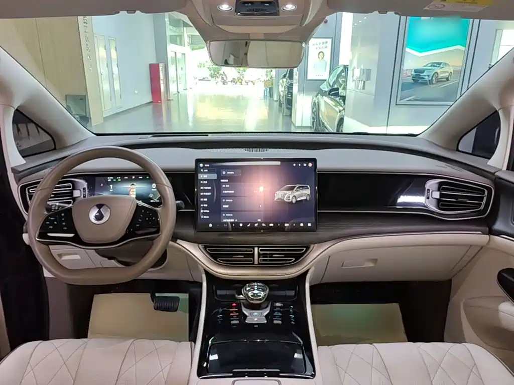 Denza Denza D9 — миниатюра 10